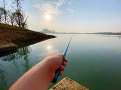 -星巴克(合肥百盛逍遥广场店)