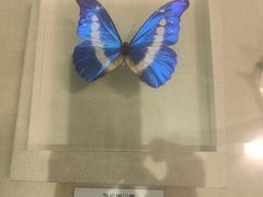 -青藏高原自然博物馆