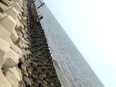 -东堤公园