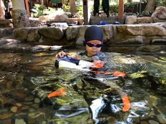 -厦门日月谷温泉渡假村