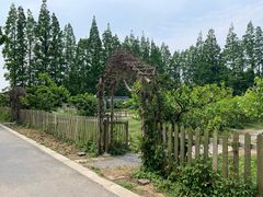 -前小桔亲子创意农场·草莓采摘·露营烧烤