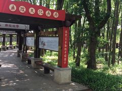 -东湖落雁景区