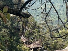 -海南热带雨林国家公园吊罗山景区