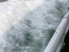 -枸杞岛