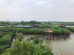 -下渚湖国家湿地公园科普馆