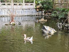 -国恩寺