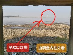 -上海滨江森林公园