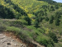 -山西通天峡景区