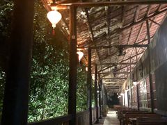 -天门沟九州驿站树上汤泉