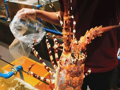 -Isla Sugbu Seafood City