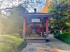 -赭山公园