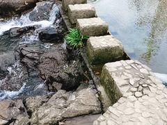 -宁波浙东大竹海景区