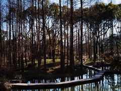 -杭州植物园