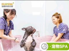 -佳雯宠物医院·皮肤科·内外科(春晓路分院)