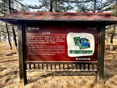 -大兴滨河森林公园