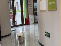 -瑞鹏宠物医院·骨科·猫科·内科(第一中心)