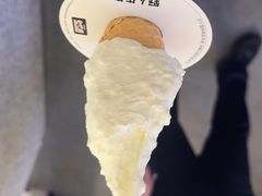 -野人先生Gelato(上海长宁龙之梦店)