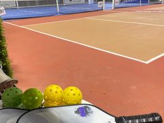 -Our Pickleball多多动匹克球俱乐部(世博源店)