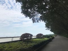 -大湾区中央湿地公园