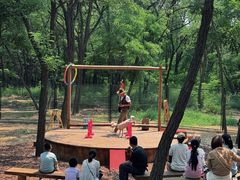 -南戴河国际娱乐中心