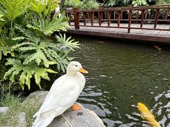 -顺德渔村·岭南一号