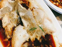 -紫光园·烤鸭·北京菜(劲松店)