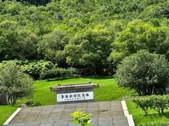 -深圳仙湖植物园