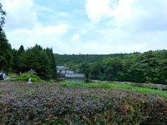 -达蓬山旅游度假区