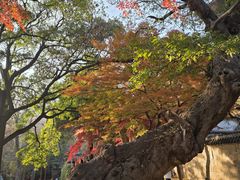 -青岛崂山太清宫