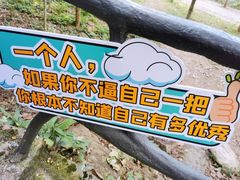 -龙湾潭国家森林公园