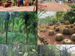 -呀路古热带植物园