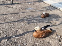 -森林公园(尖草坪区)