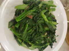 白灼菜心-四海之家(蛇口店)