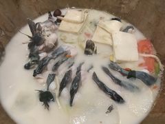 -云中鱼蒸汽石锅鱼(川沙百联店)