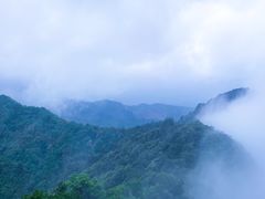 -午潮山国家森林公园