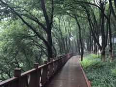 -上海市保健医疗中心