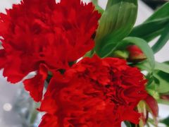 -La Creperie法餐厅(芮欧百货店)