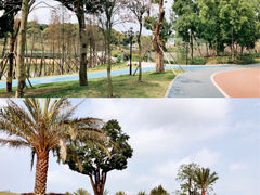 -香山湖公园