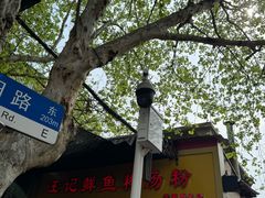 -汪记鲜鱼糊汤粉(沈阳路总店)