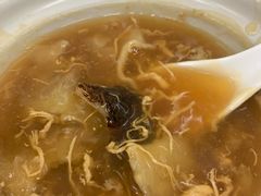 招牌花胶海参煲仔-添發碗仔翅美食