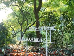 -云溪植物园