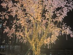 -首开·龙湖成都西宸天街