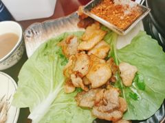 -蘑统田下·野生菌火锅