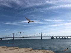 -星海湾跨海大桥