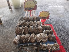 -蚝专家(北滘店)