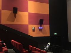 -金逸影城(武汉人信汇IMAX店)
