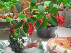 -奔跑吧陕菜·盛世长安(民乐园万达店)