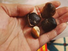 -阿男野栗王(金门路店)