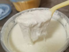 招牌姜撞奶-捷信牛奶甜品世家(五道口店)