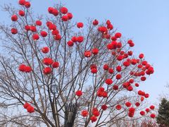 -北京欢乐谷